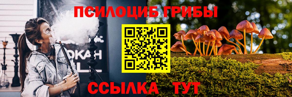 Псилоцибиновые грибы Cubensis Бахчисарай