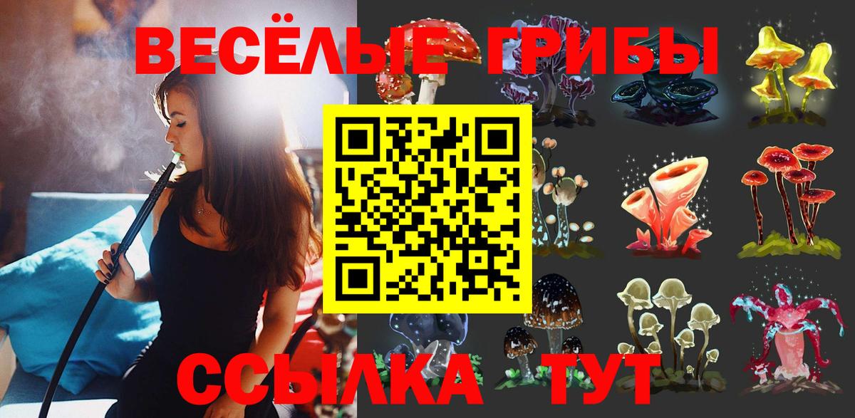 Бахчисарай  Галлюциногенные грибы Psilocybine cubensis  Вход с VPN 